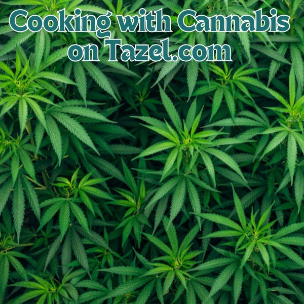 Cooking with Cannabis on Tazel.com